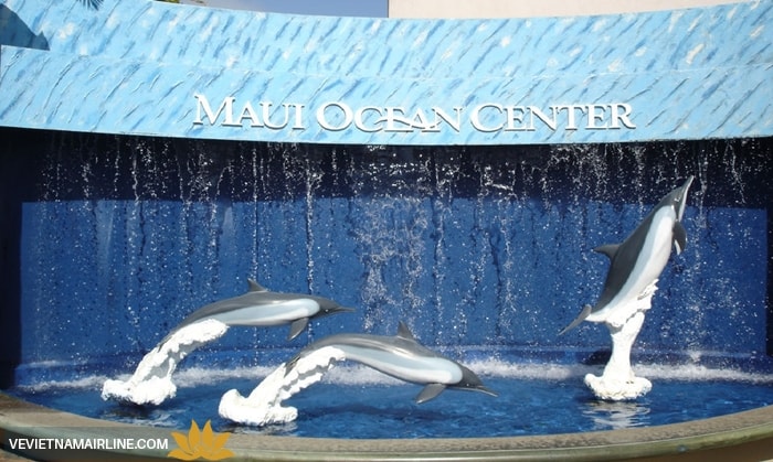 Maui Ocean Center